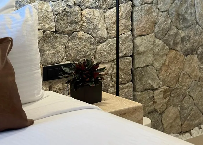 Agnadema * פירוסטפני